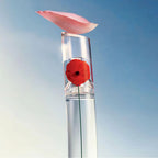 Perfume Flower By Kenzo Eau de Parfum