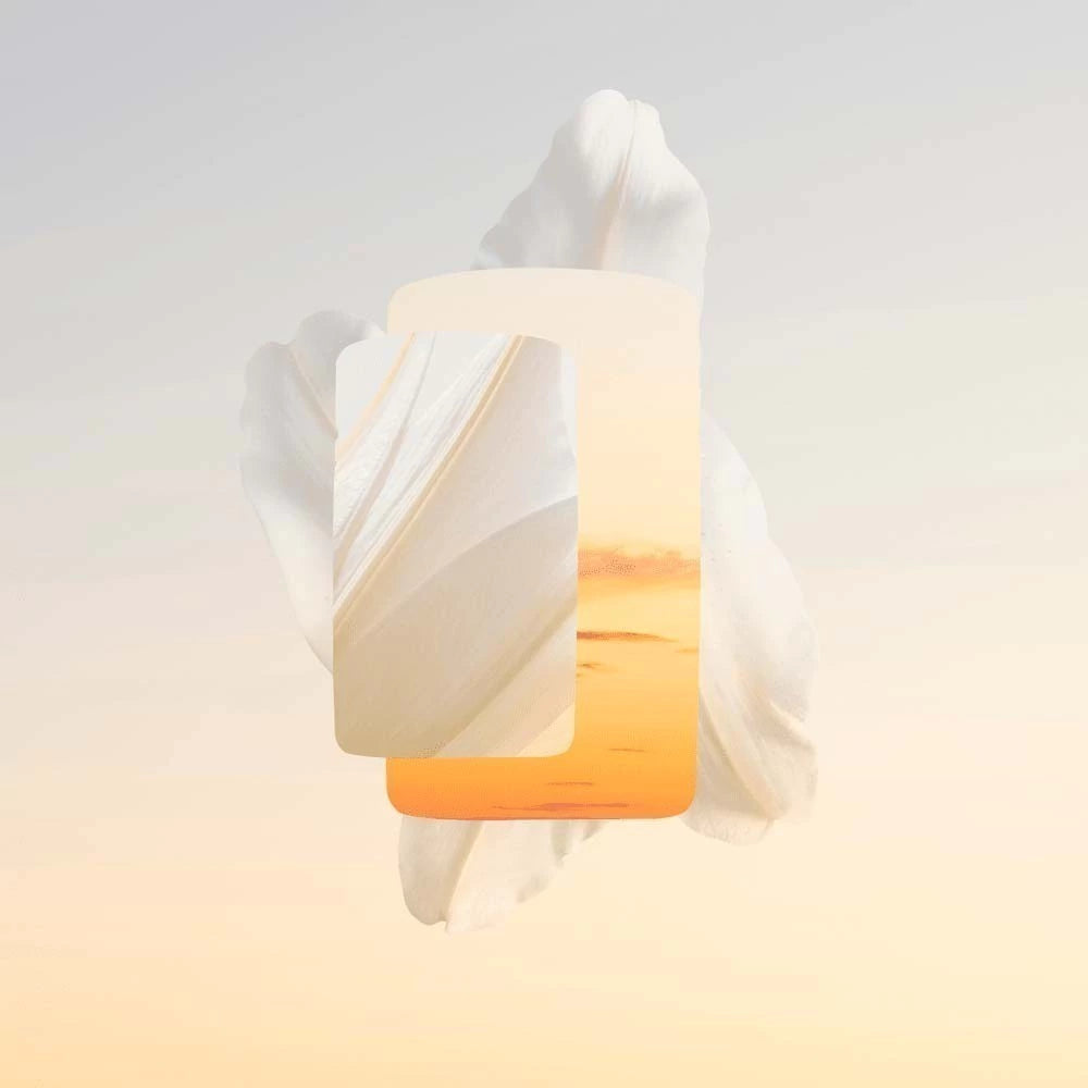 Perfume Baiser Volé Parfum Cartier